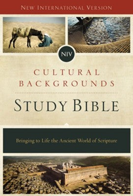 new international version bible online