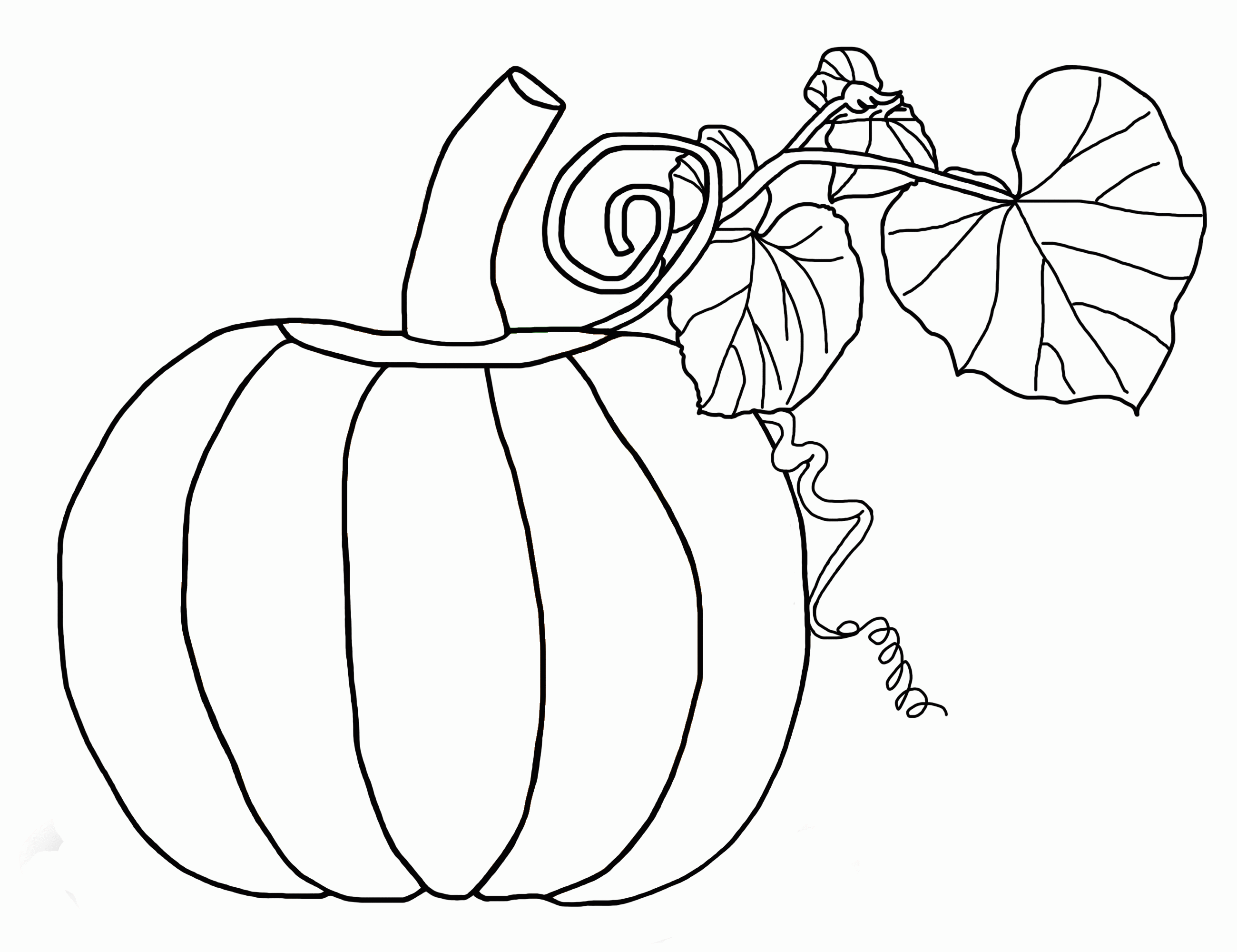 pumpkin coloring png