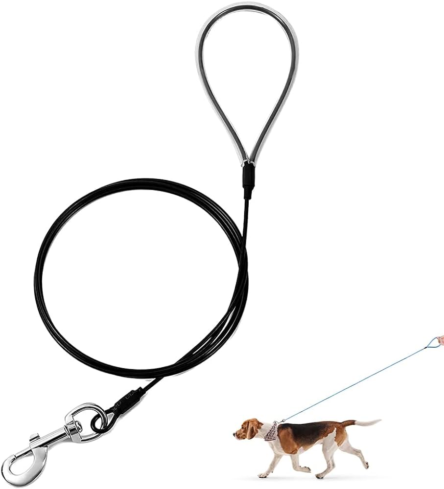 chew proof dog leash