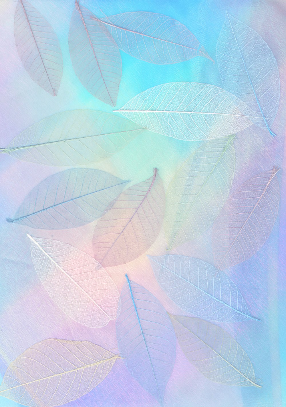 pastel phone wallpaper