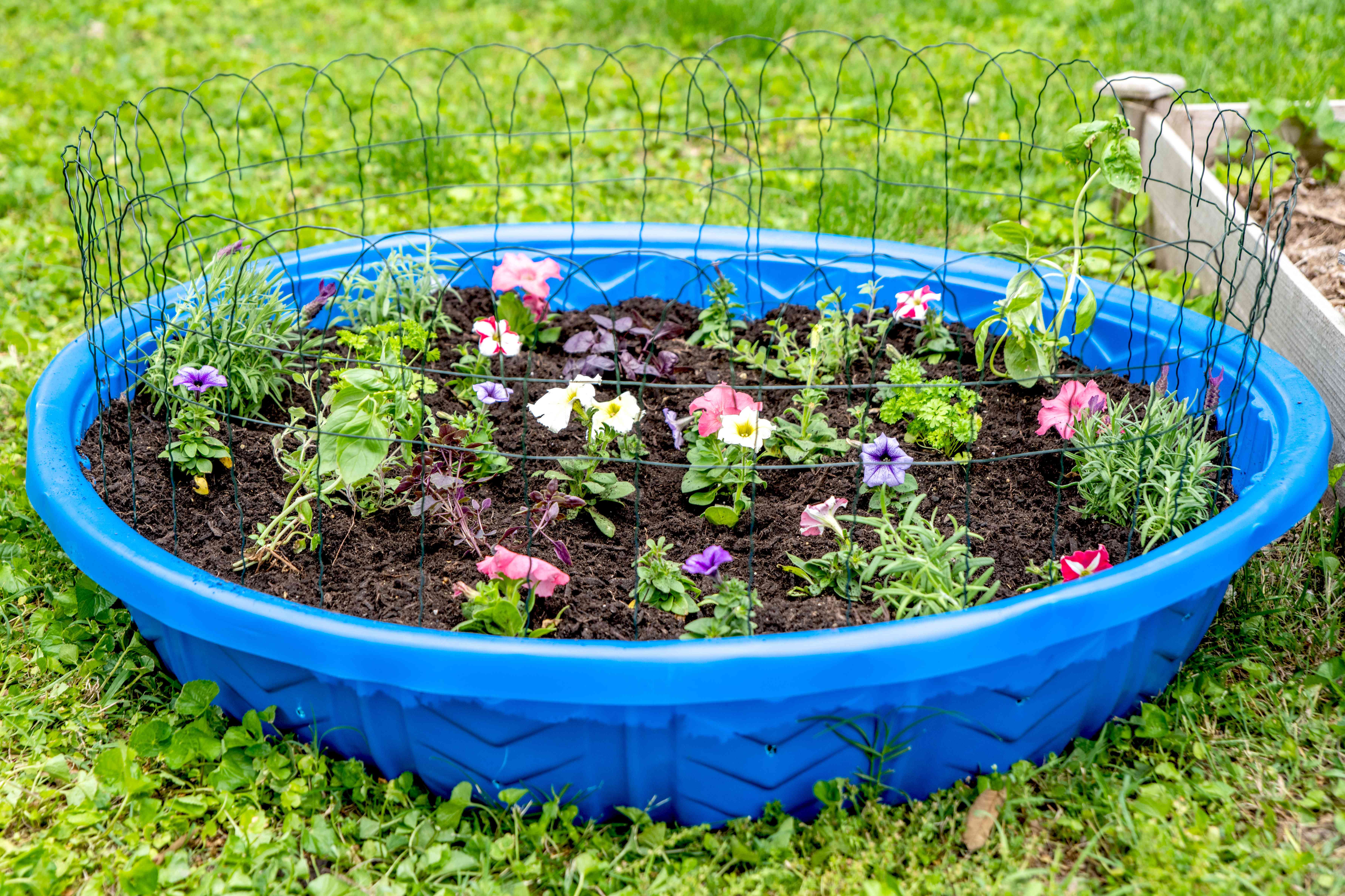 plastic kiddie pool