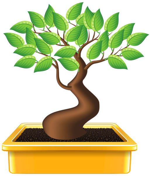 bonsai clipart