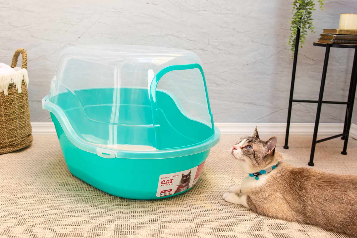 best rated cat litter box