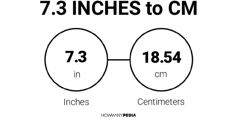 7.3 inches in cm