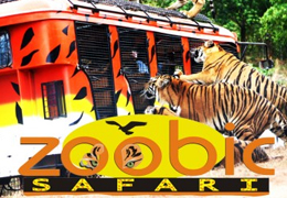 zoobic safari philippines