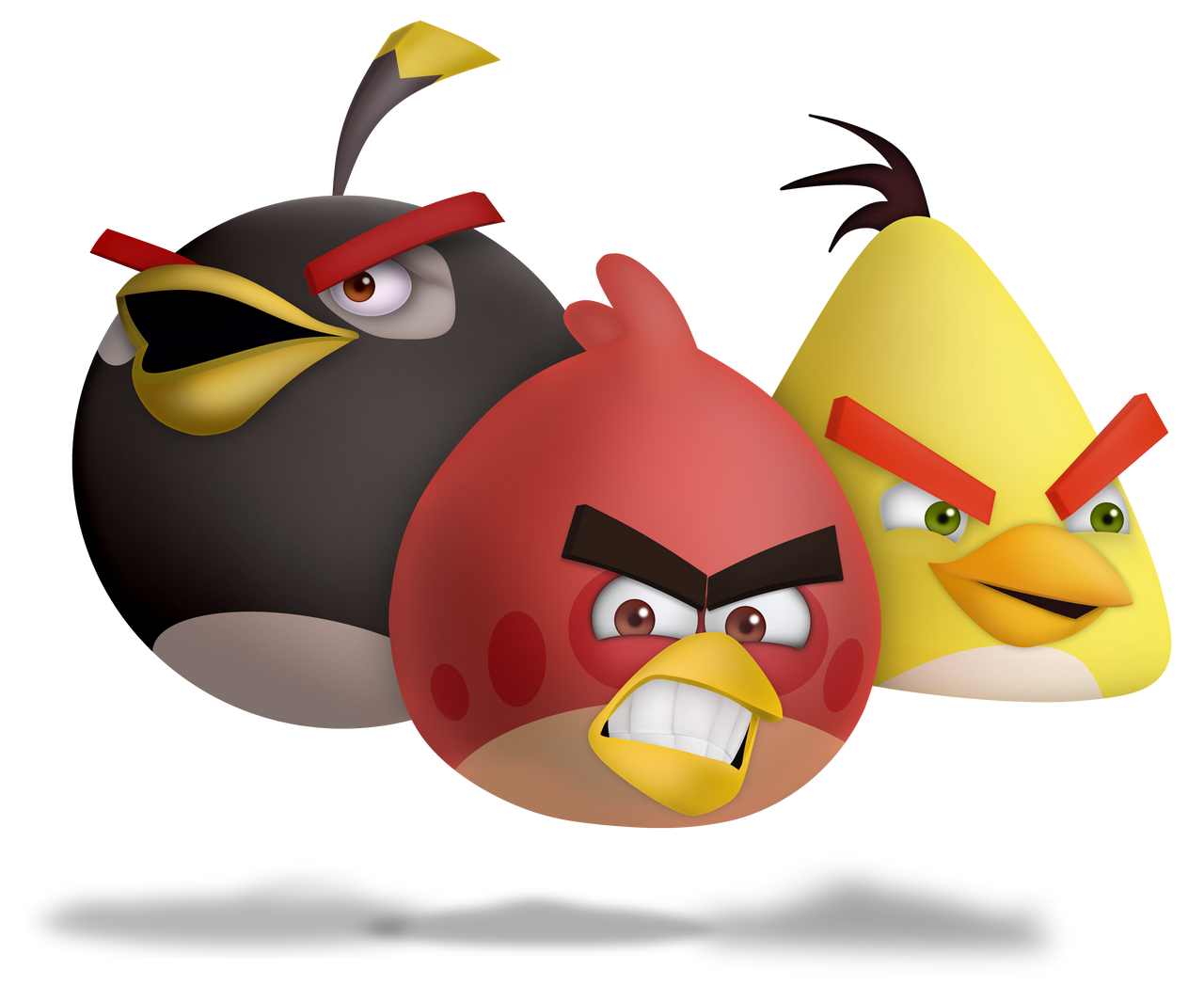 angry bird dp