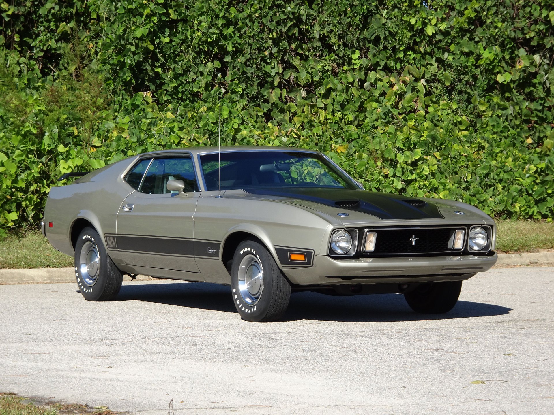 ford mustang 73 mach one