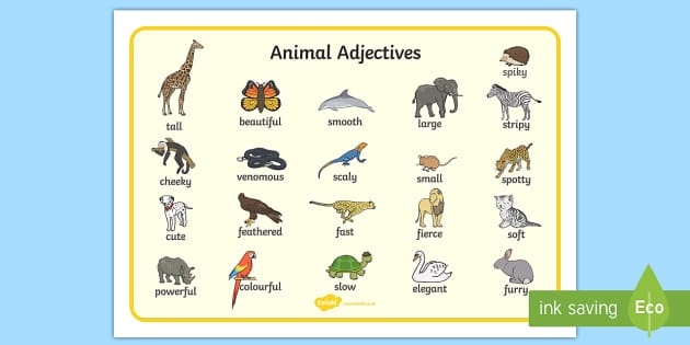 adjectives for describing animals