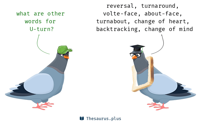 uturn synonym