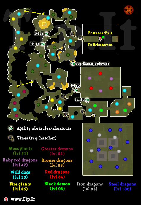 osrs brimhaven dungeon