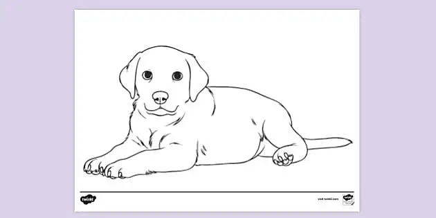 puppy dog colouring in