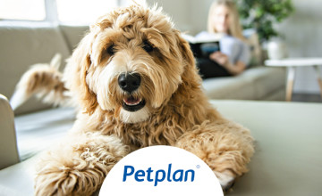 petplan promo code