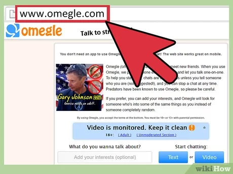 omegleweb.com