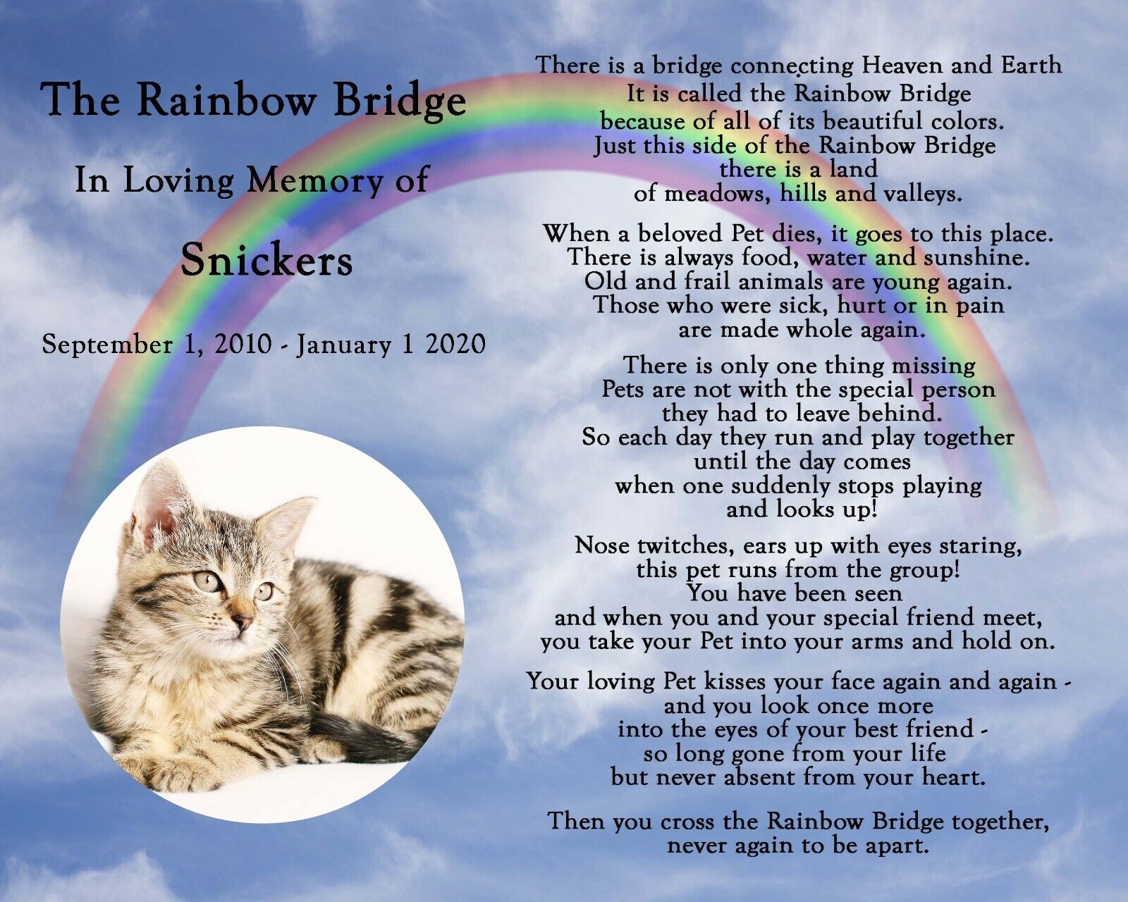 cat poem rainbow bridge