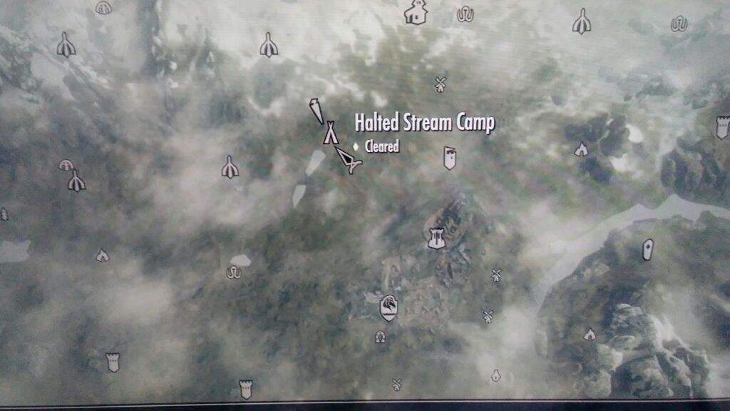 halted stream camp