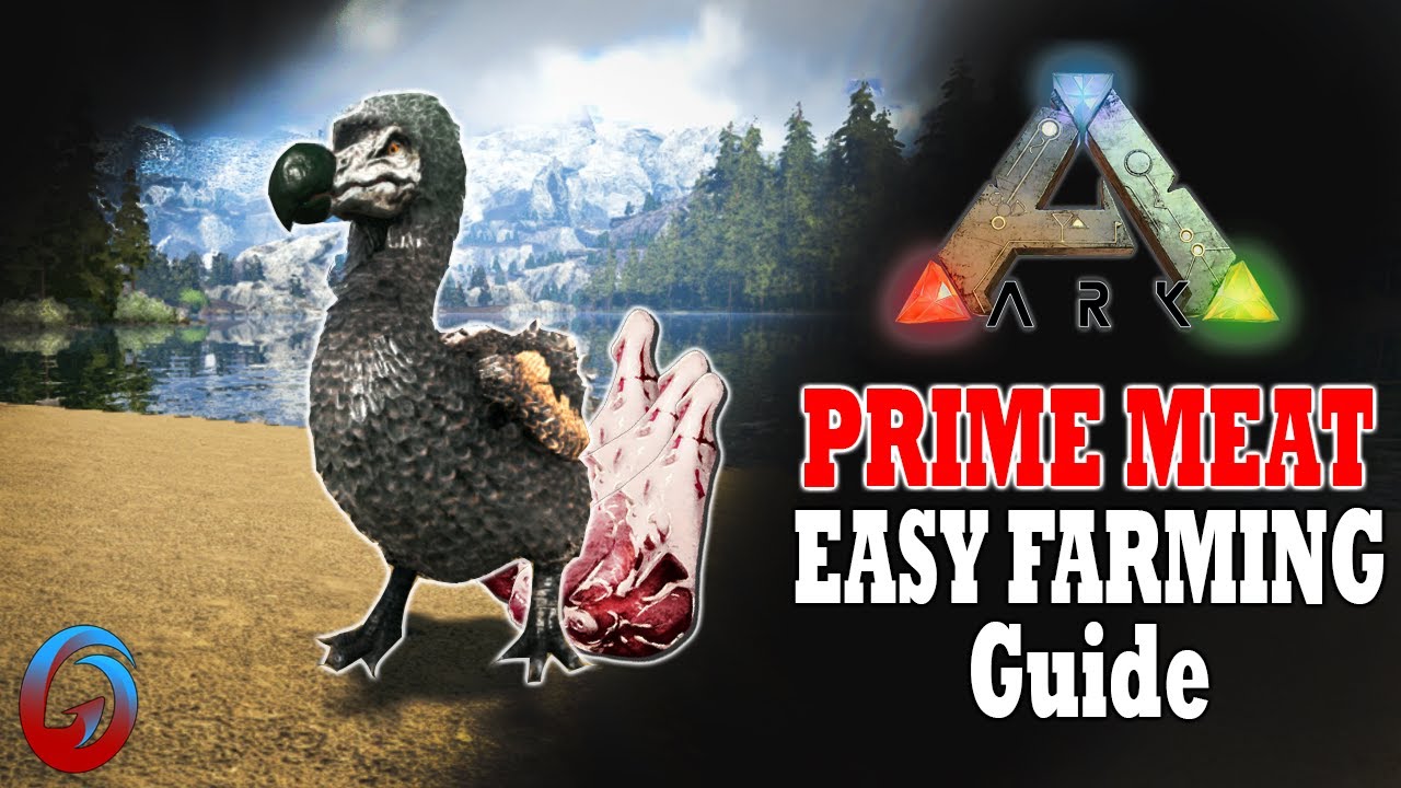 ark prime meat