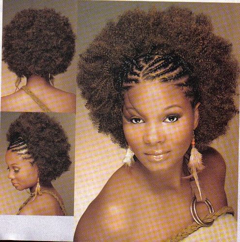 afro hair styles braids