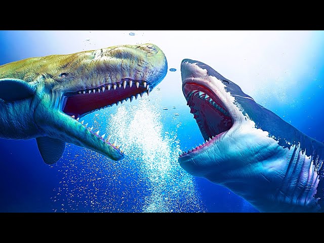 livyatan vs megalodon