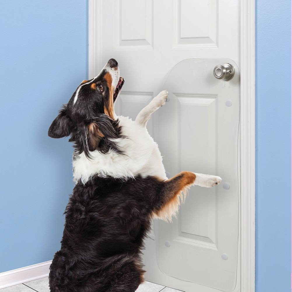 how to stop dog from scratching door