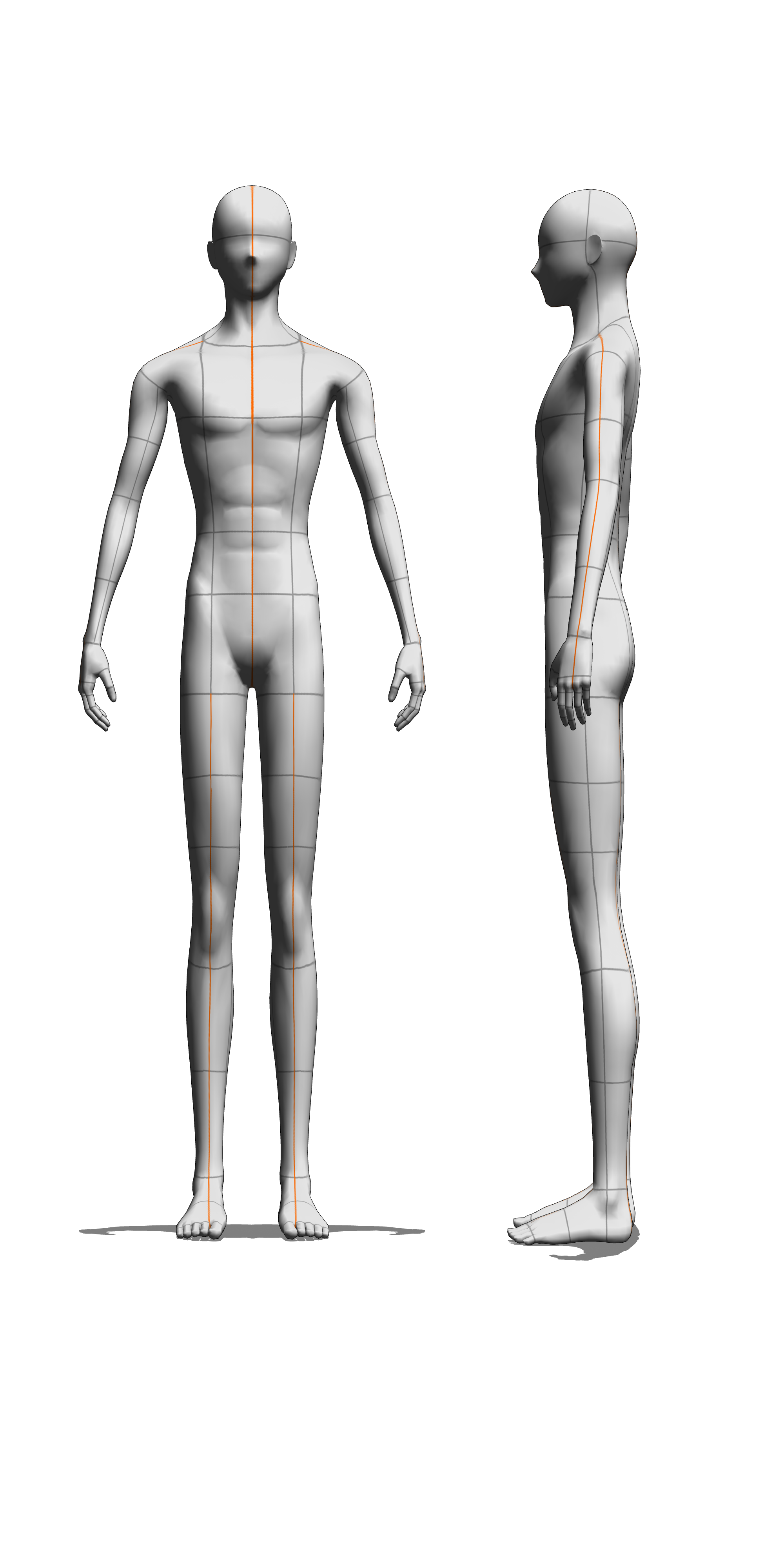 body reference