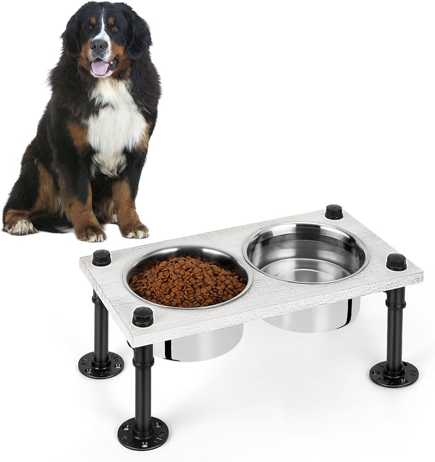 raised dog feeding bowls