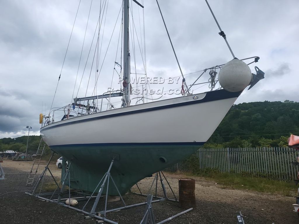 tradewind 35 for sale