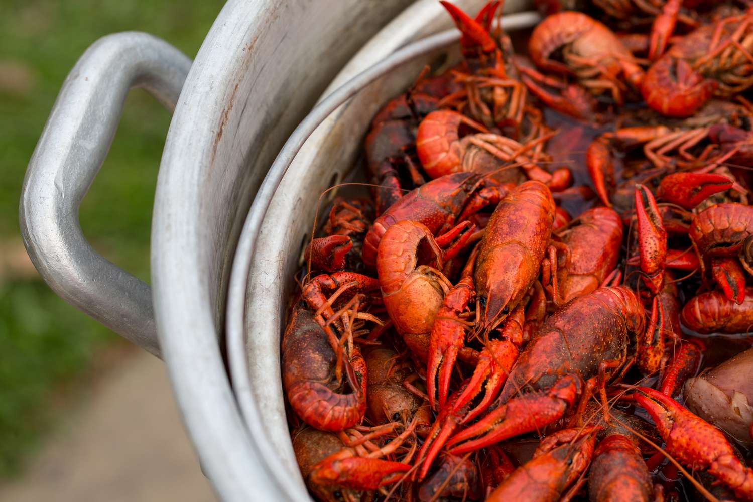 crawdaddys crawfish