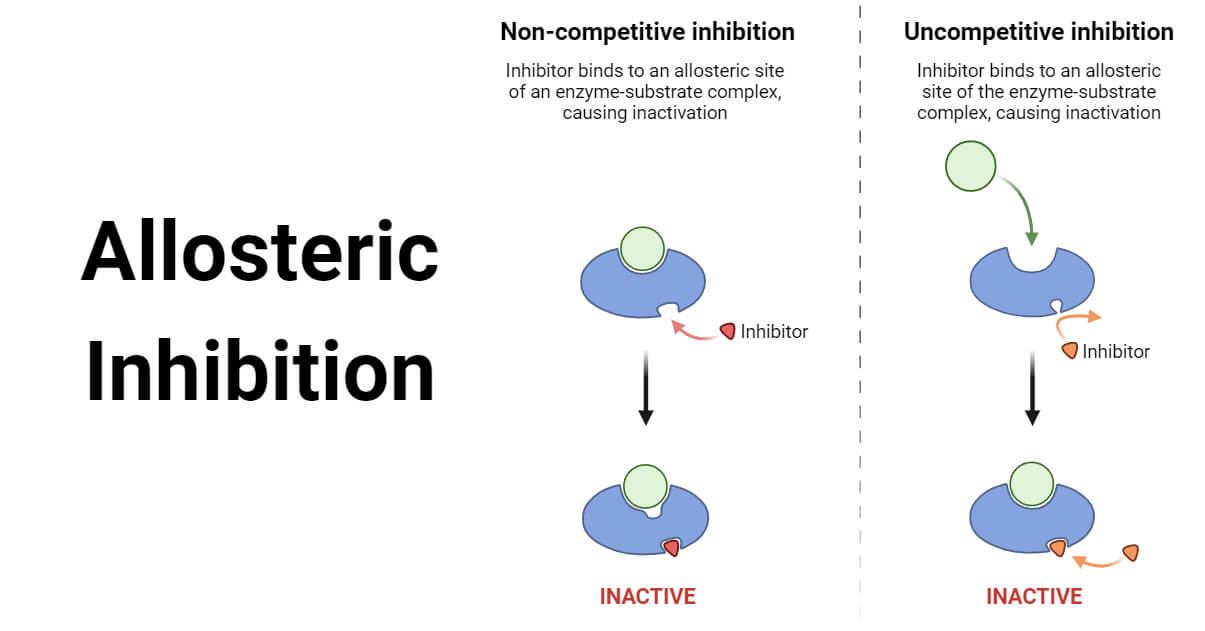 allosteric