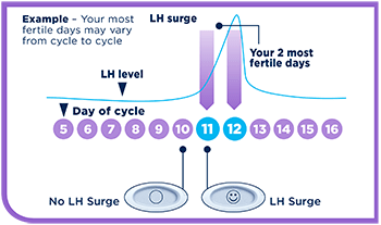 ovulation calculator clear blue