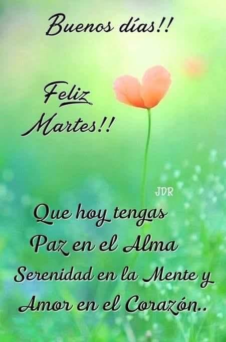 feliz martes