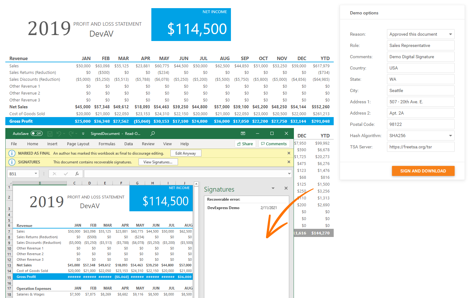 devexpress office file api