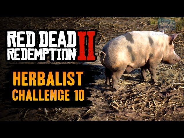 herbalist 10 rdr2