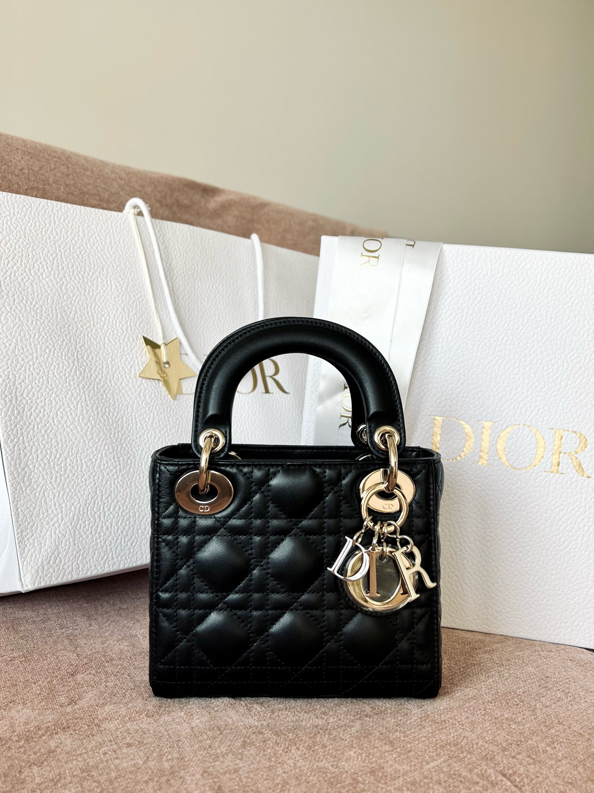 lady dior mini