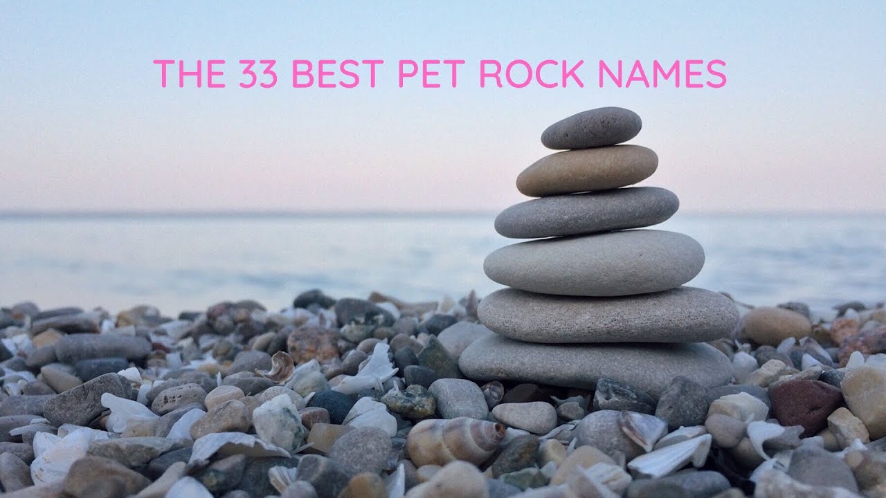 pet rock names generator