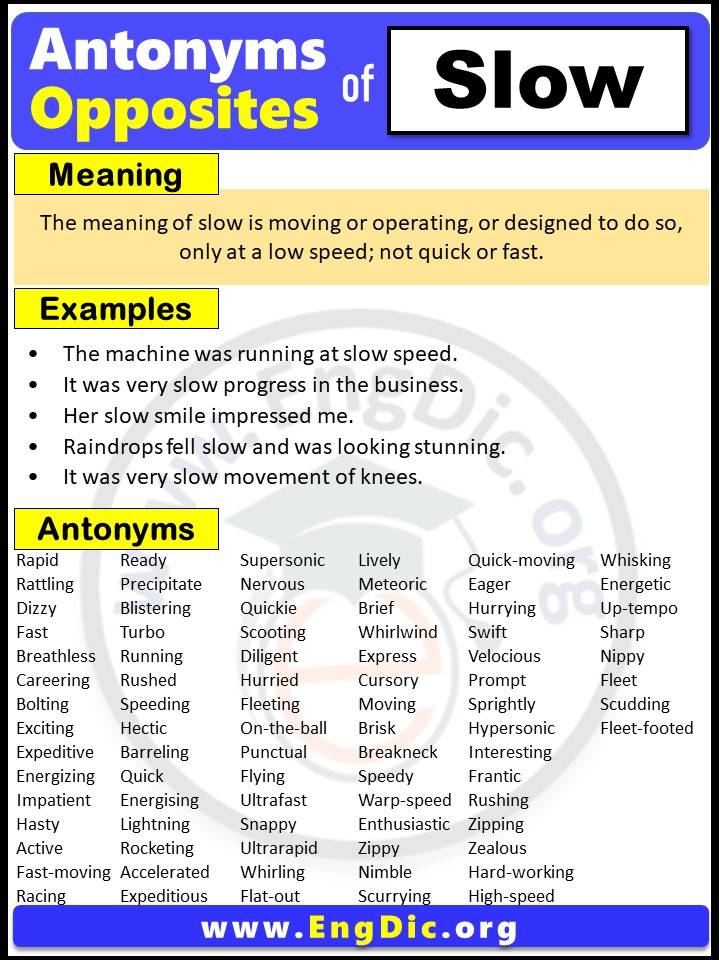 slow antonym