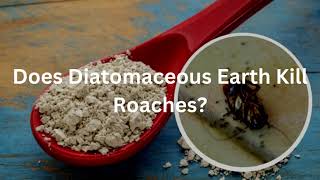 diatomaceous earth and roaches