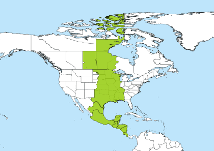 8 am pacific to central