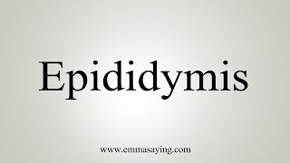 epididymal pronunciation