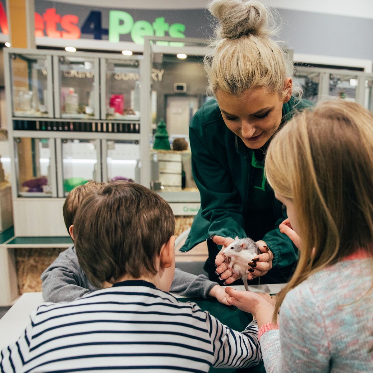 pets at home.workshops