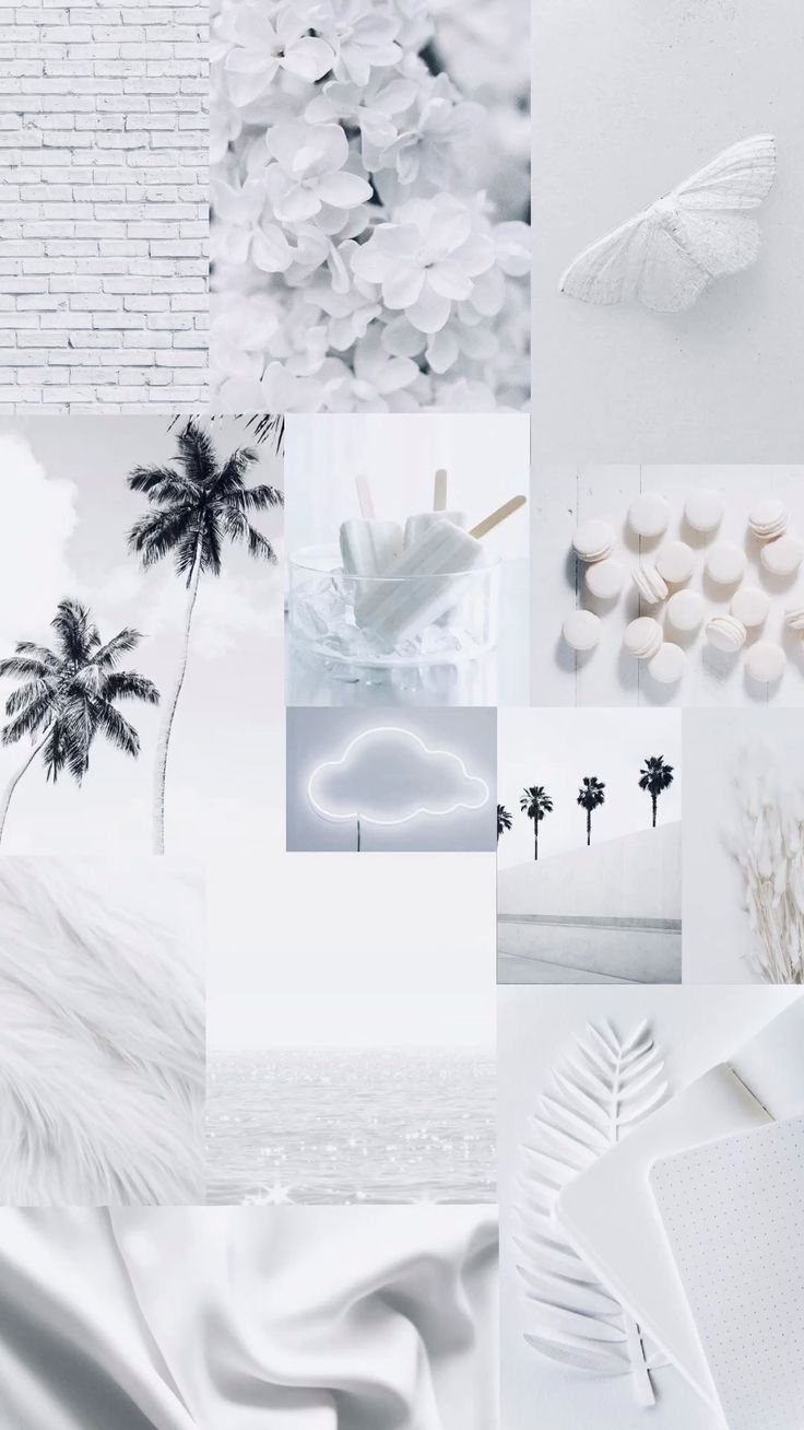 aesthetic white