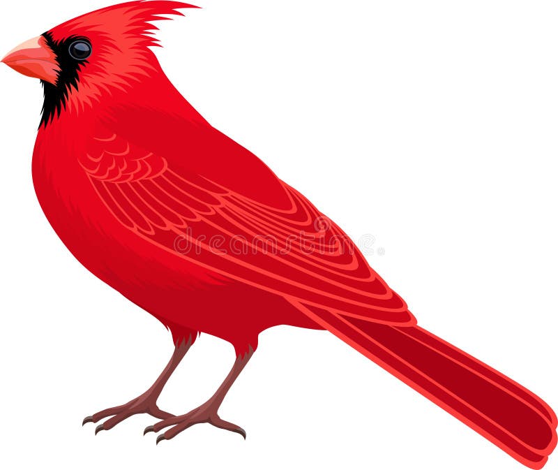 cardinal clip art