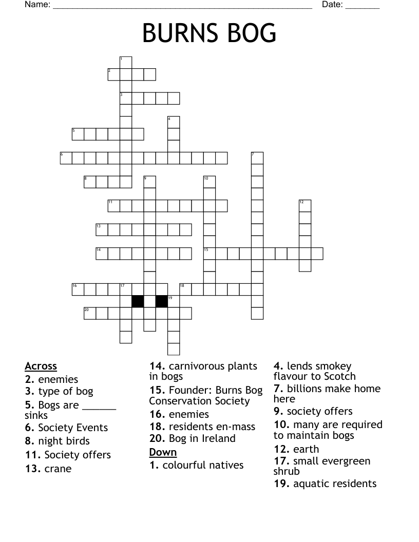 bog crossword clue