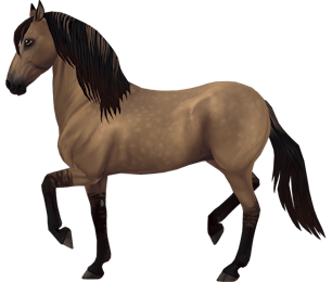 horses in sso