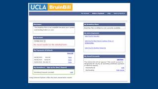 bruinbill payment