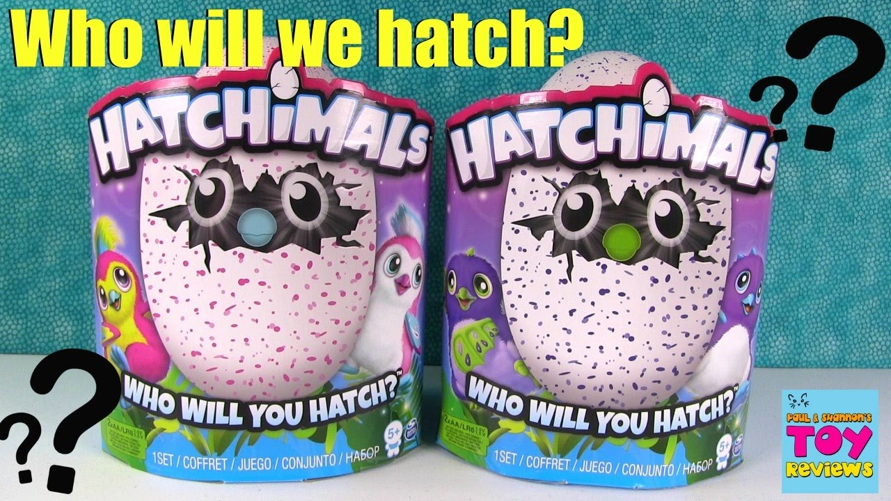 hatchimals how to hatch