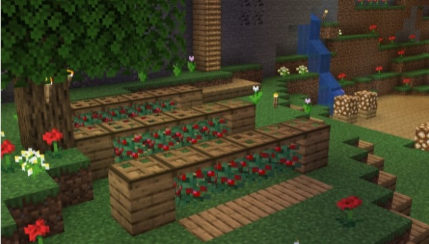 how to grow sweet berries in minecraft