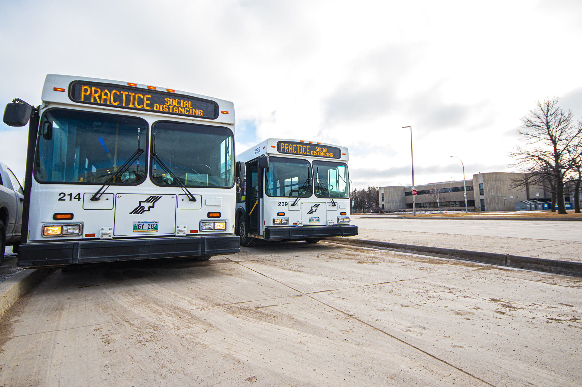 winnipeg transit navigo