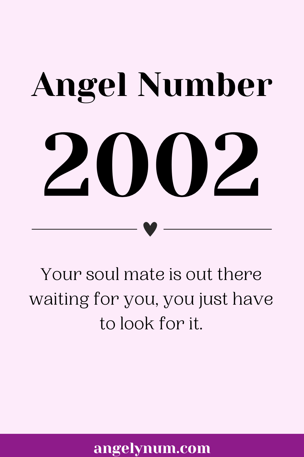 2002 angel number twin flame