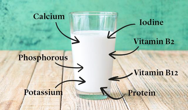 calories in whole milk 100ml