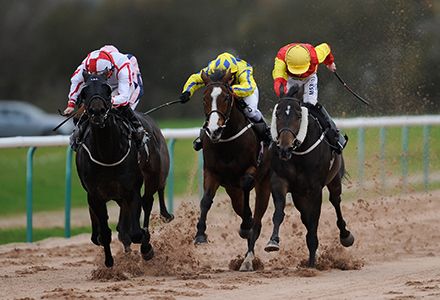 southwell race tips